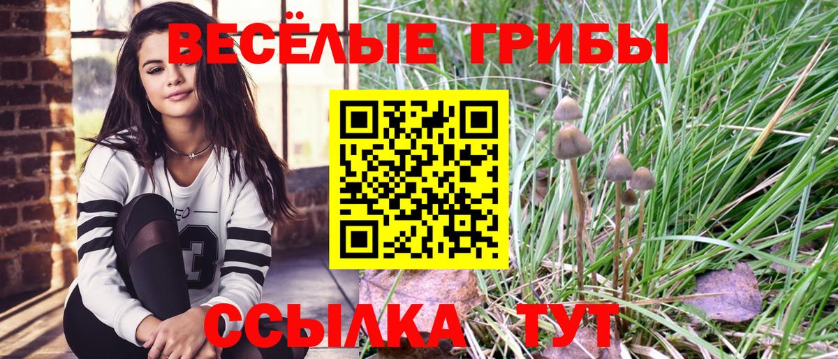 Люберцы  Галлюциногенные грибы прущие грибы  Вход с VPN  Галлюциногенные грибы GOLDEN TEACHER 